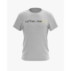 Футболка чоловіча з принтом Coffee now сірий XS (TS-01-IT-0125-200-02-03)